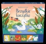 Słucham baśni BRZYDKIE KACZĄTKO Zespół AWM