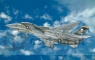 ITALERI F14A Tomcat (2667)