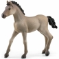 Schleich, Źrebię klasy criollo definitivo (SLH13949)