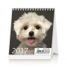 Kalendarz 2017 Mini Puppies