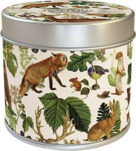 Zapachowa świeczka leśne zwierzęta - zapach leśny