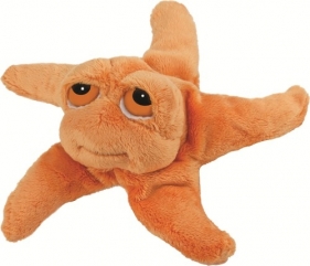 Rozgwiazda Astro 25 cm - <br />