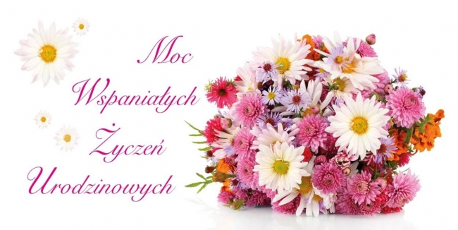 <img src='https://webimage.pl/pics/674/3/d5907582653035.jpg'>