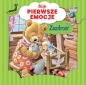 Moje pierwsze emocje. Zazdrość - Annalisa Lay, Tony Wolf