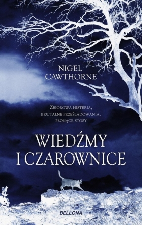 Wiedźmy i czarownice - Cawthorne Nigel