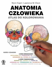 Anatomia człowieka. Atlas do kolorowania - Kapit Wynn, Elson Lawrence M.