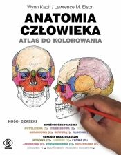 Anatomia człowieka. Atlas do kolorowania - Lawrence M. Elson, Wynn Kapit