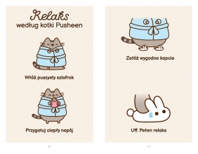 Wiele żyć kotki Pusheen - Claire Belton