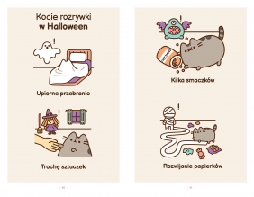 Wiele żyć kotki Pusheen - Claire Belton