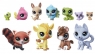 Littlest Pet Shop A Colorful Bunch