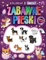 Koloruj i świeć! Zabawne pieski + naklejki fluo Opracowanie zbiorowe