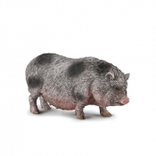 COLLECTA WIETNAMSKA ŚWINIA ZWISŁOBRZUCHA