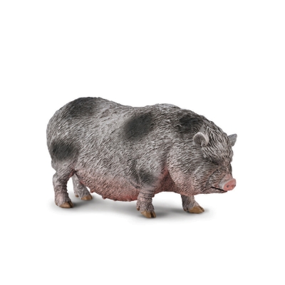 COLLECTA WIETNAMSKA ŚWINIA ZWISŁOBRZUCHA