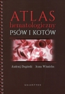Atlas hematologiczny psów i kotów Degórski Andrzej, Winnicka Anna