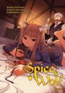 Spice and Wolf. Tom 2 Keito Koume