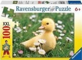 Puzzle 100 Słodkie kaczątko - RAP106677