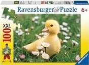 Puzzle 100 Słodkie kaczątko