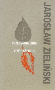Przerwana linia - Zieliński Jarosław