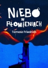 Niebo w płomieniach Friedrich Tomasz