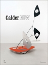 Calder Now Donatien Grau, Eva van Diggelen, Dieter Buchhart, Anna Karina Hofbauer