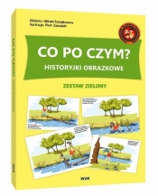 Historyjki obrazkowe. Co po czym? - Elżbieta Szwajkowska, Witold Szwajkowski