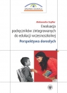  Ewaluacja podręczników zintegrowanych do edukacji wczesnoszkolnej. Perspektywa