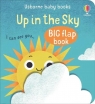 Up in the Sky Mary Cartwright