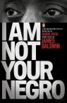 I Am Not Your Negro Baldwin James