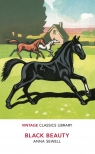 Black Beauty wer. angielska Anna Sewell