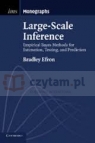 Large-Scale Inference: Empirical Bayes Methods for Estimation, Testing, and Bradley Efron