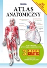 Atlas anatomiczny Opracowanie zbiorowe