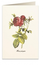 Karnet B6 + koperta 8068 Czerwona róża 2