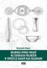 Młodsza epoka brązu na ziemiach polskich w świetle badań nad skarbami Blajer Wojciech