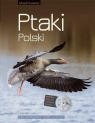 Ptaki Polski Encyklopedia ilustrowana  Andrzej G. Kruszewicz