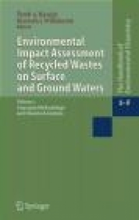 Environmental Impact Assessment of Recycled Wastes on Surfac