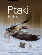 Ptaki Polski Encyklopedia ilustrowana - Andrzej G. Kruszewicz