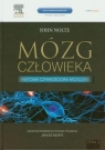 Mózg człowieka Tom 2 Anatomia czynnościowa mózgowia John Nolte