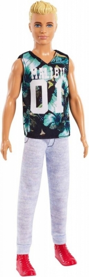 Lalka Barbie Fashionistas Stylowy Ken T-Shirt Malibu (DWK44/FXL63)