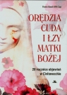  Orędzia cuda i łzy Matki Bożej20 rocznica objawień w Civitavecchia