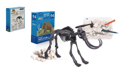 Wykopaliska dinozaury