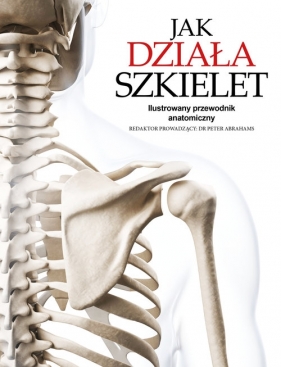 Jak działa szkielet - Peter Abrahams
