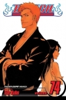 Bleach, Vol. 74: The Death and the Strawberry Kubo Tite