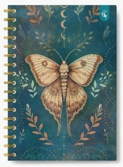 Kołonotatnik ozdobny B5/160K kratka