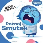 W głowie sie nie mieści Poznaj Smutek (09681)