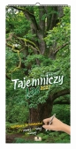 Kalendarz 2027 paskowy szeroki - tajemniczy las