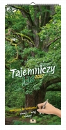 Kalendarz 2027 paskowy szeroki - tajemniczy las