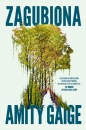 Zagubiona - Amity Gaige .