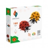  Alexander, Origami 3D - Biedronki (2568)Wiek: 8+