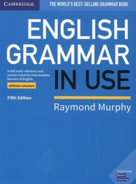 English Grammar in Use Book without Answers - Murphy Raymond