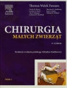 Chirurgia małych zwierząt Tom 2 Dewey Curtis W., Horn Caroline V., Johnson Ann L.